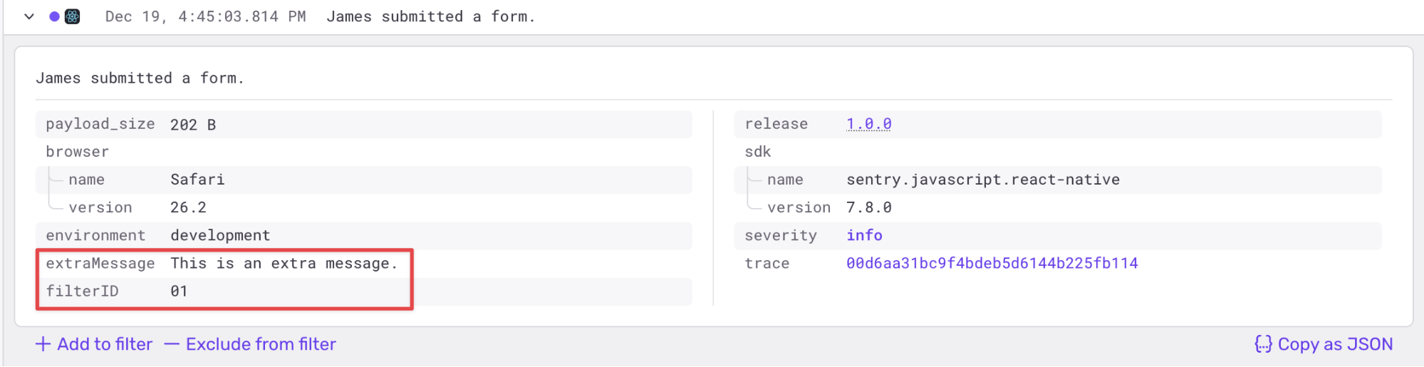Detailed log entry view showing a form submission by James, with metadata including browser, environment, SDK version, and highlighted custom fields for an extra message and filter ID.