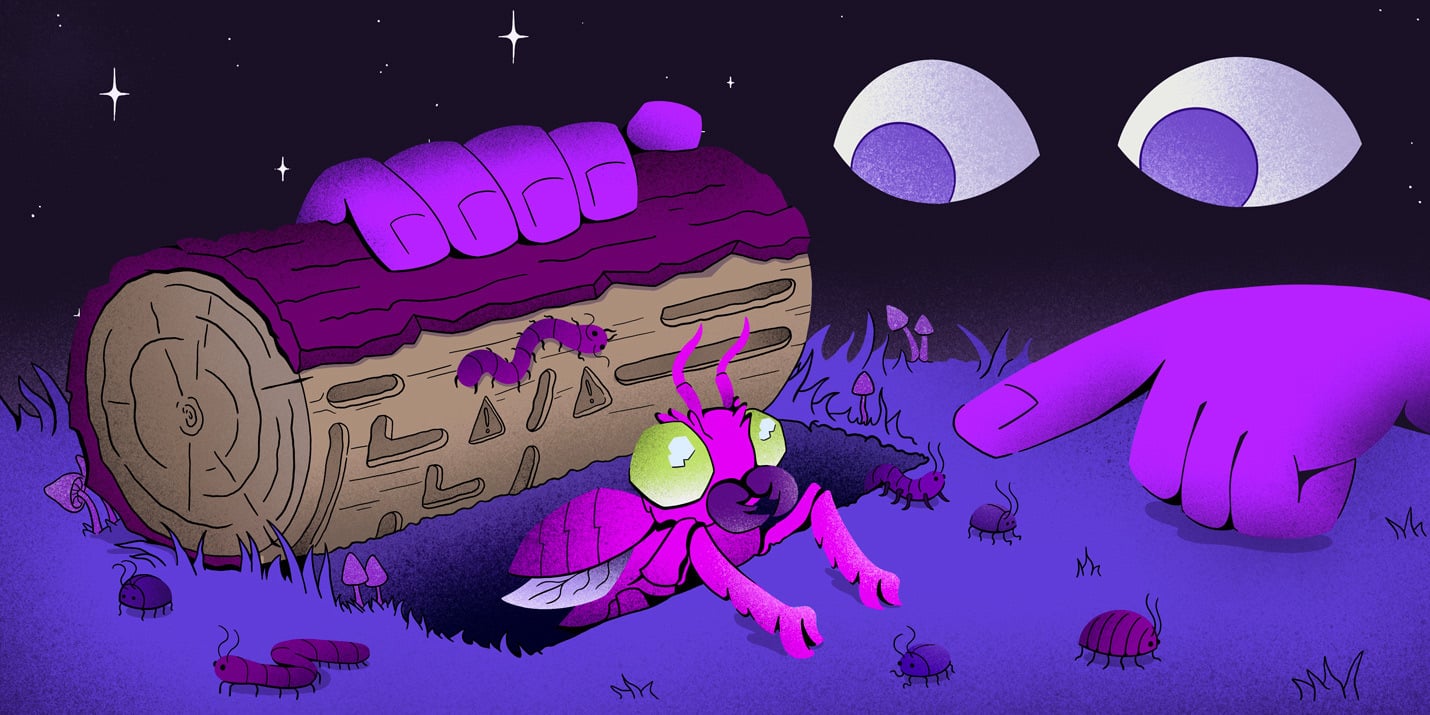 Not everything that breaks is an error: a Logs and Next.js story