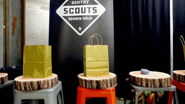 Sentry Scouts: DevOps — A Recap